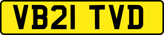 VB21TVD