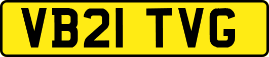 VB21TVG