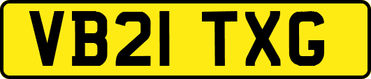 VB21TXG