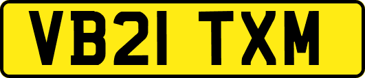 VB21TXM