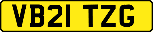 VB21TZG