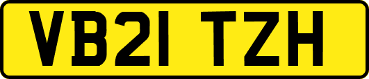 VB21TZH