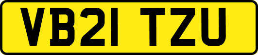 VB21TZU