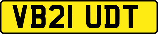 VB21UDT