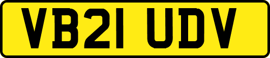 VB21UDV