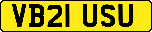 VB21USU