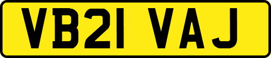VB21VAJ