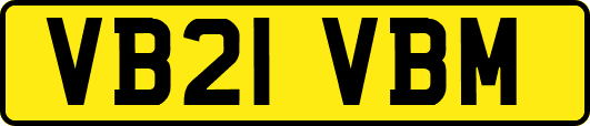 VB21VBM