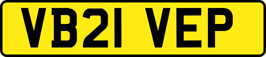 VB21VEP