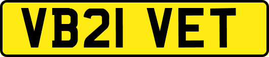 VB21VET