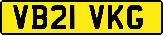VB21VKG