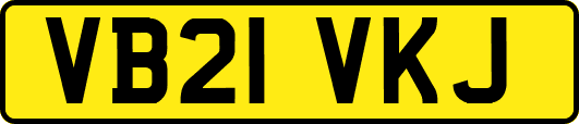 VB21VKJ