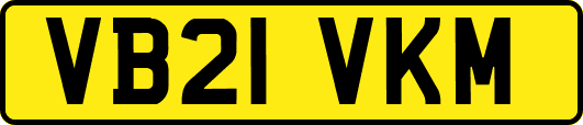 VB21VKM