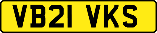 VB21VKS