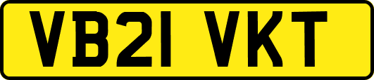 VB21VKT