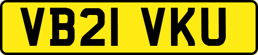 VB21VKU