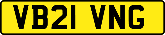 VB21VNG