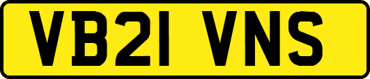 VB21VNS