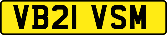 VB21VSM
