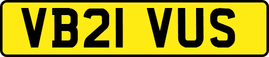 VB21VUS