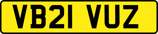 VB21VUZ