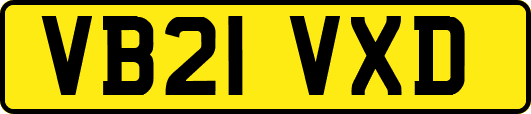 VB21VXD