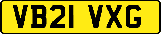 VB21VXG