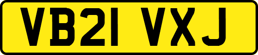 VB21VXJ
