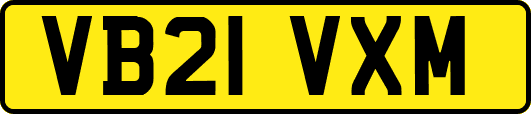 VB21VXM