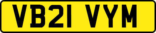 VB21VYM