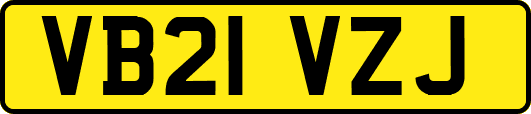 VB21VZJ