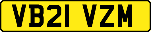 VB21VZM
