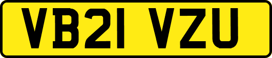 VB21VZU