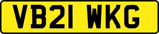 VB21WKG
