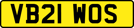 VB21WOS