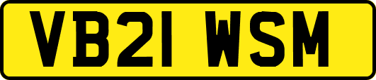 VB21WSM