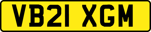 VB21XGM