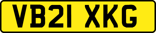 VB21XKG