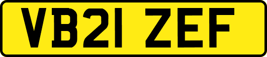 VB21ZEF