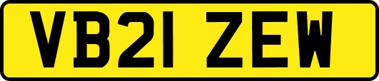VB21ZEW