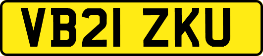 VB21ZKU