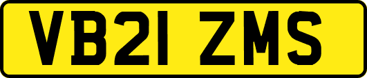 VB21ZMS