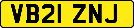 VB21ZNJ