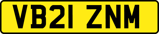 VB21ZNM