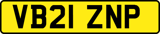 VB21ZNP