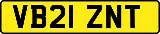 VB21ZNT