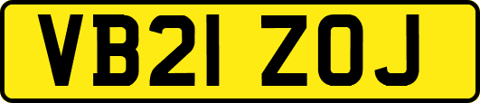 VB21ZOJ
