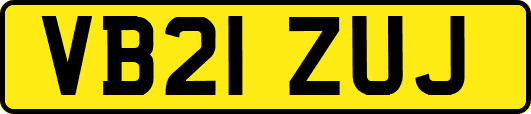 VB21ZUJ