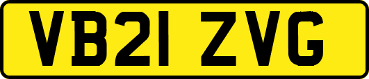 VB21ZVG