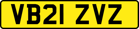 VB21ZVZ